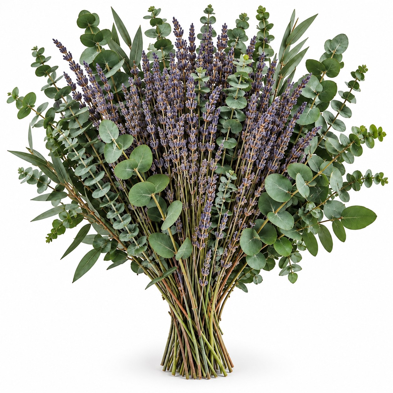 Eucalyptus Lavender Shower Bundle, 75 Stems